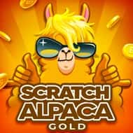Scratch Alpaca Gold